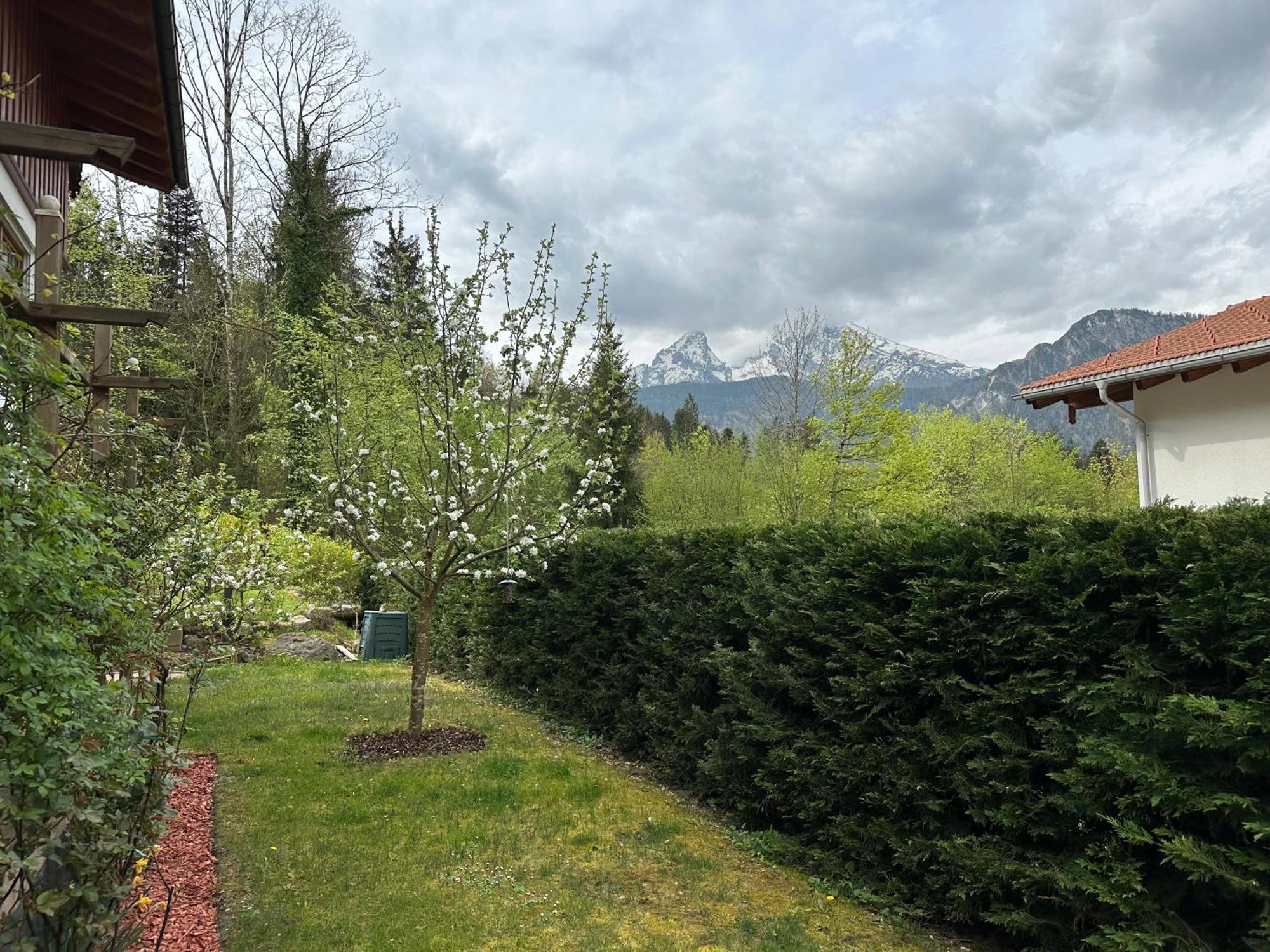 Alpenherz *